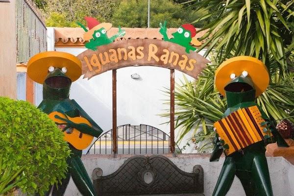 Imagen 28 Restaurante Iguanas Ranas Aljarafe foto