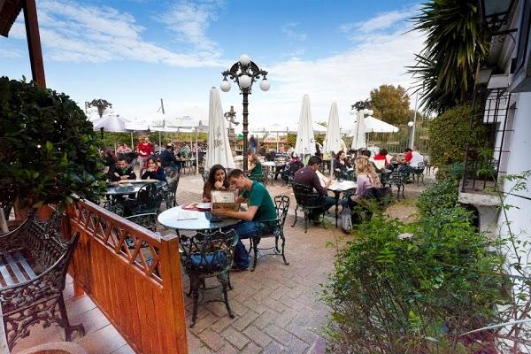 Imagen 33 Restaurante Iguanas Ranas Aljarafe foto