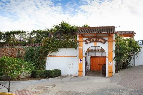 Imagen 39 Restaurante Iguanas Ranas Aljarafe foto