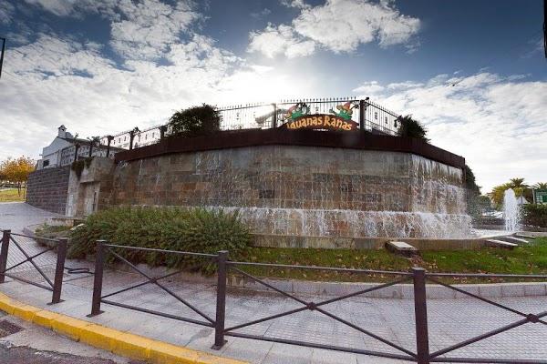 Imagen 5 Restaurante Iguanas Ranas Aljarafe foto