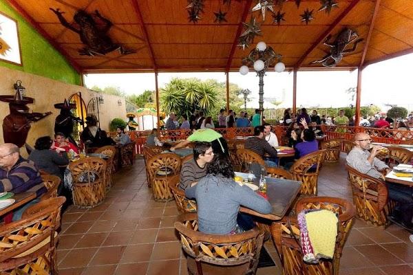 Imagen 46 Restaurante Iguanas Ranas Aljarafe foto