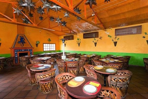 Imagen 53 Restaurante Iguanas Ranas Aljarafe foto