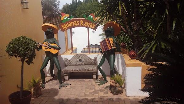 Imagen 59 Restaurante Iguanas Ranas Aljarafe foto
