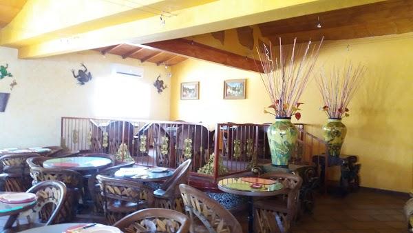 Imagen 61 Restaurante Iguanas Ranas Aljarafe foto