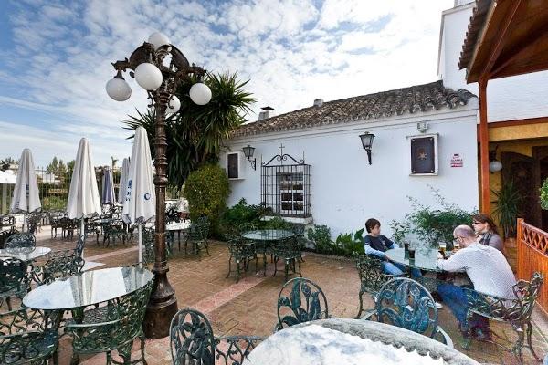 Imagen 66 Restaurante Iguanas Ranas Aljarafe foto