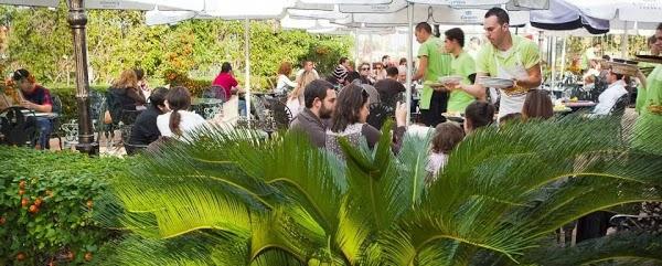 Imagen 68 Restaurante Iguanas Ranas Aljarafe foto