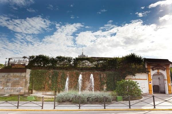 Imagen 69 Restaurante Iguanas Ranas Aljarafe foto