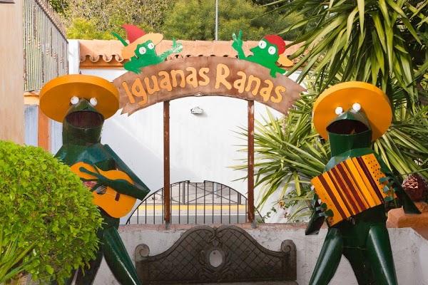 Imagen 8 Restaurante Iguanas Ranas Aljarafe foto