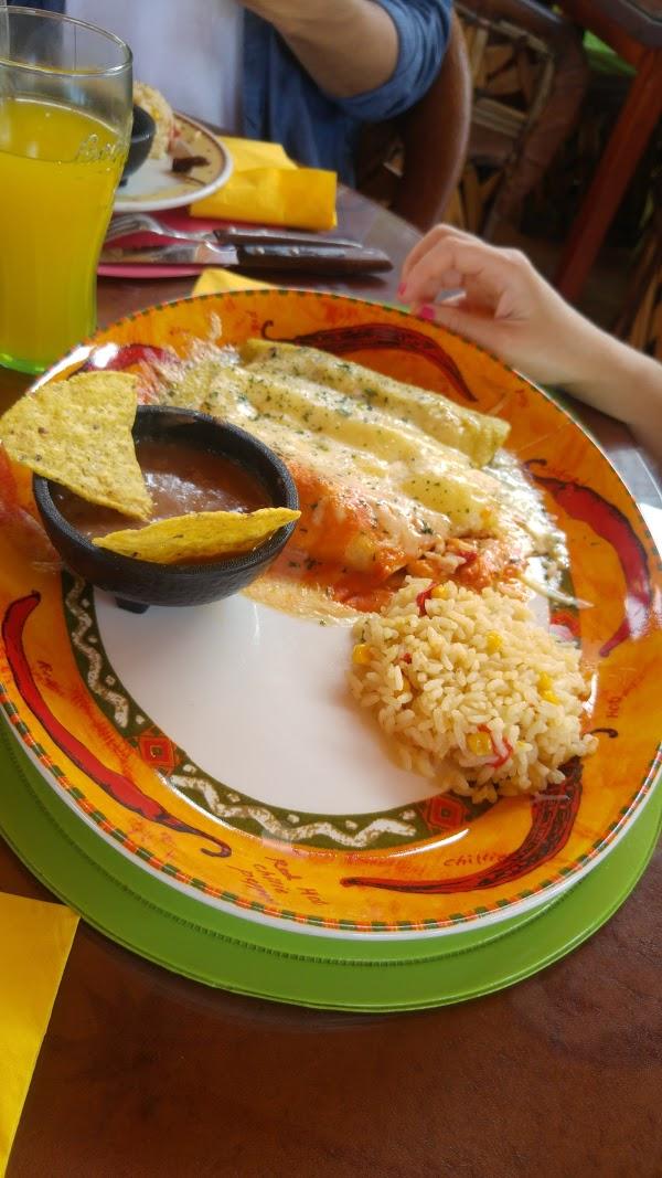 Imagen 87 Restaurante Iguanas Ranas Aljarafe foto