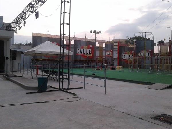 Imagen 94 Restaurante Iguanas Ranas Aljarafe foto