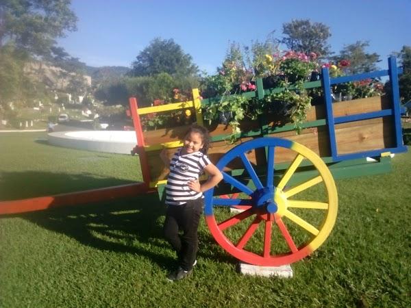 Imagen 99 Restaurante Iguanas Ranas Aljarafe foto