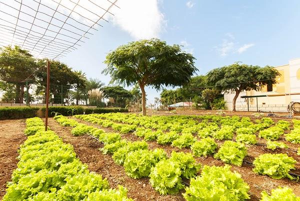 Imagen 49 Hotel 1948 Manresa foto