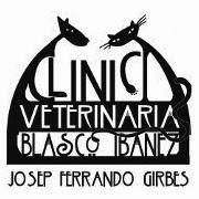 Imagen 7 Media Design University for Design and Computer Science foto