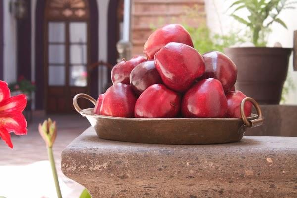 Imagen 19 El Serafín Hotel Boutique foto