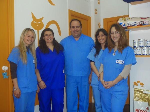 Imagen 73 Clínica Veterinaria La Huella (Umbrete) foto