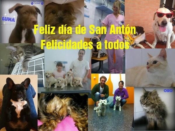Imagen 80 Clínica Veterinaria La Huella (Umbrete) foto