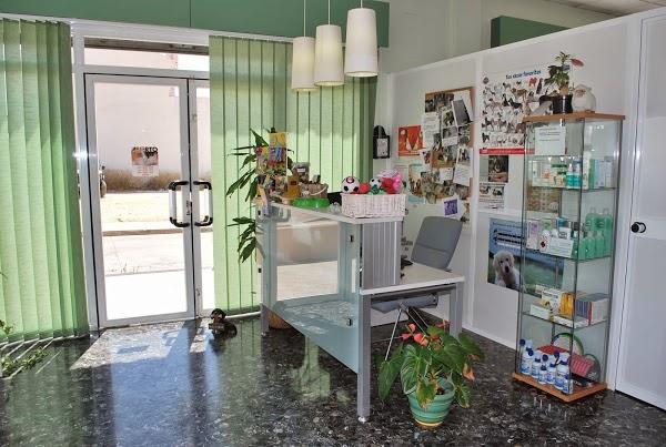 Imagen 2 Pizza Raul foto