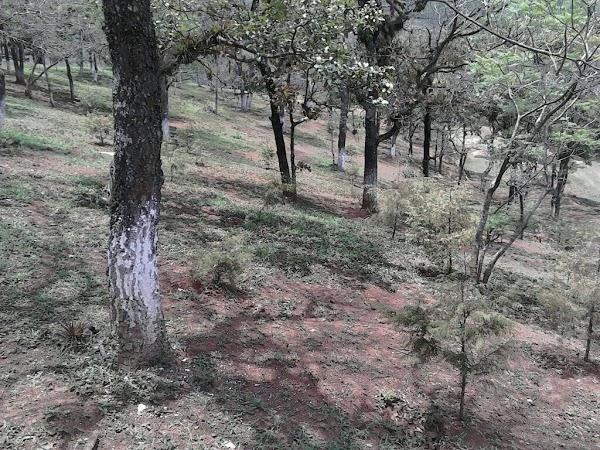 Imagen 5 Nissan foto