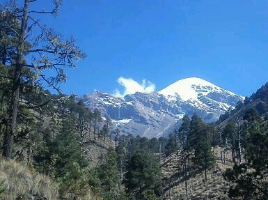 Imagen 8 Nissan foto