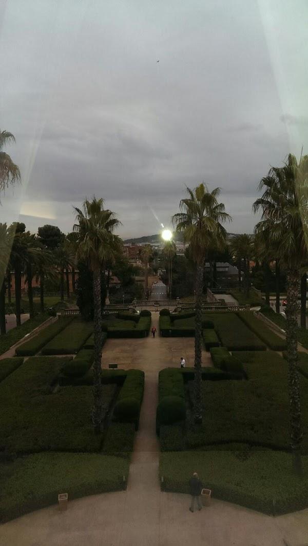 Imagen 18 ProMystical foto