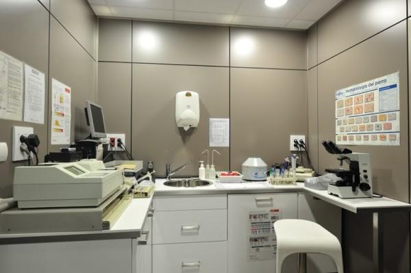 Imagen 5 Nextel foto