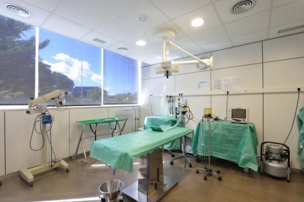 Imagen 6 Nextel foto