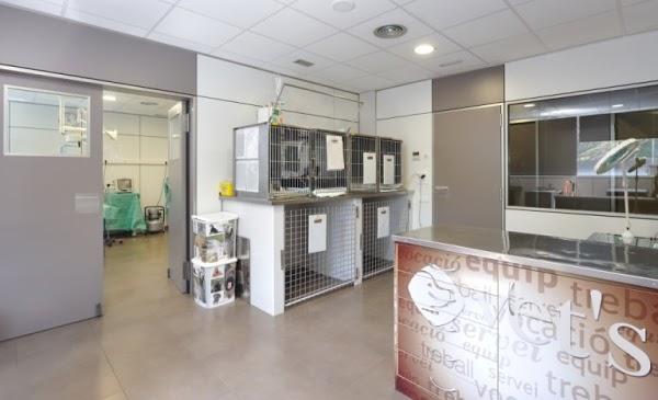 Imagen 7 Nextel foto