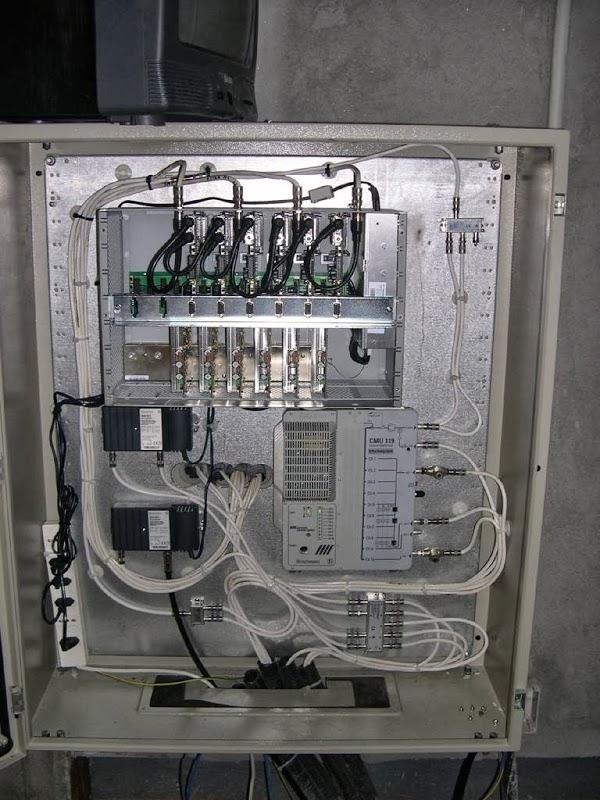 Imagen 6 Mambo Tango foto