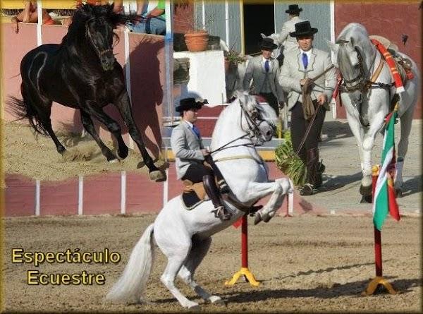 Imagen 2 Envases Y Complementos foto