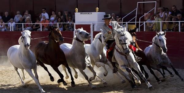 Imagen 28 Envases Y Complementos foto