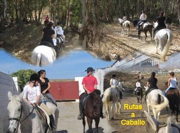 Imagen 33 Envases Y Complementos foto