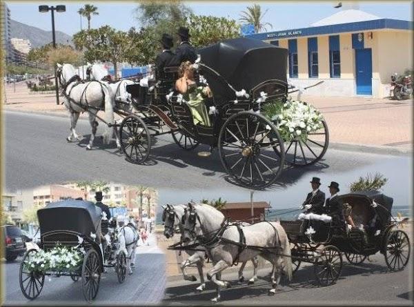 Imagen 34 Envases Y Complementos foto