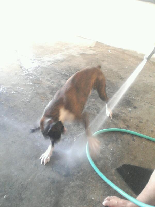 Imagen 3 Funky Monkey Hostel foto