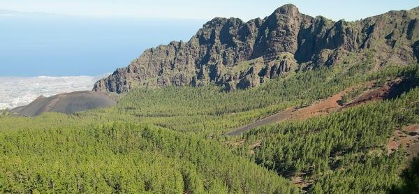 Imagen 11 CONTINENTAL SAC foto