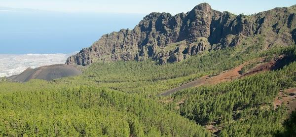 Imagen 26 Apnea Canarias foto