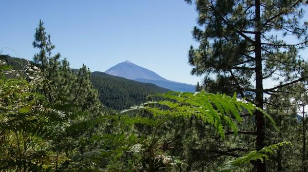 Imagen 34 Apnea Canarias foto