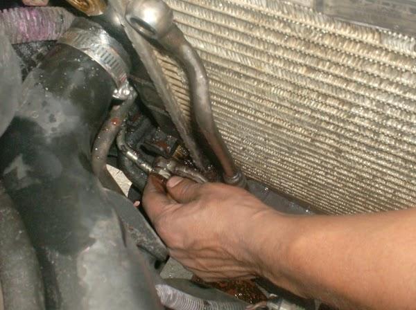 Imagen 56 Apnea Canarias foto