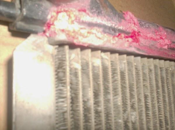 Imagen 58 Apnea Canarias foto