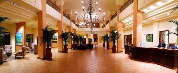 Imagen 9 Pau Company foto