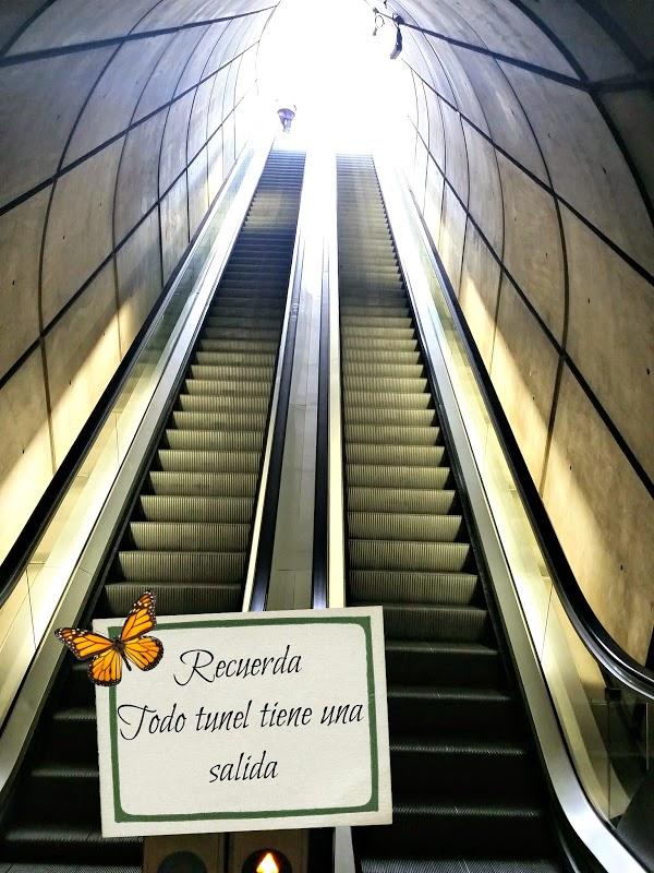 Imagen 14 Colegio Valdefuentes foto