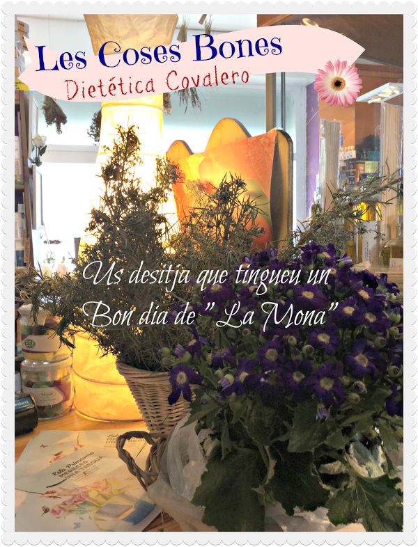 Imagen 19 Colegio Valdefuentes foto