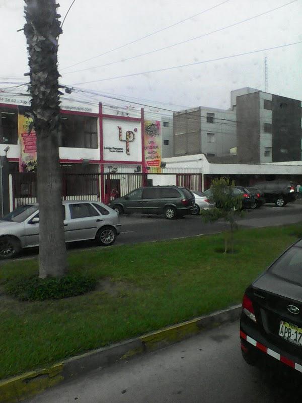 Imagen 64 Hotel Pelinor foto