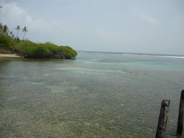 Imagen 10 Hotel Pelinor foto