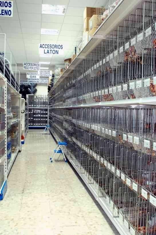 Imagen 2 Banco Estado foto