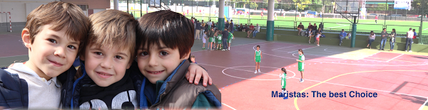 Imagen 62 Restaurante Chino Fa foto