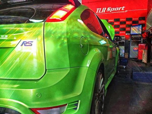 Imagen 15 Mamá Pato foto