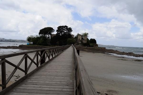 Imagen 21 Mamá Pato foto