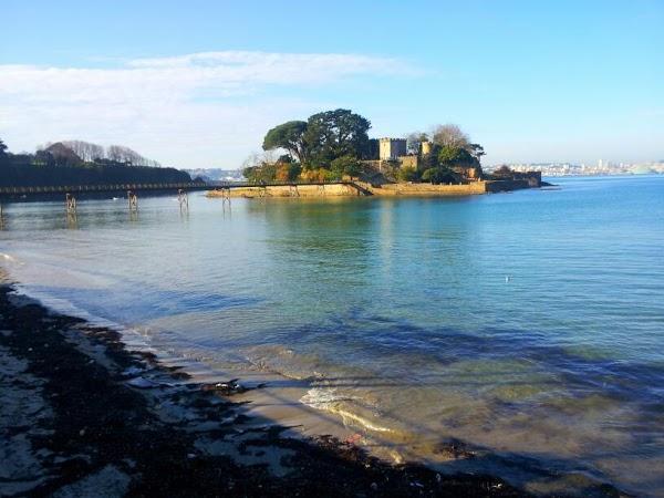 Imagen 23 Mamá Pato foto