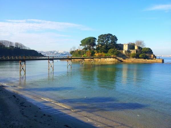 Imagen 25 Mamá Pato foto