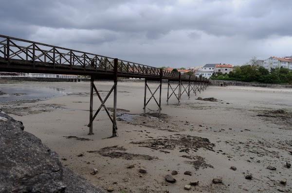 Imagen 26 Mamá Pato foto